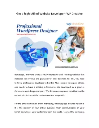 get a high skilled website developer wp creative