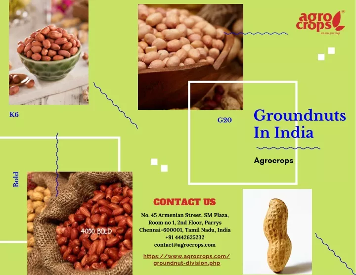 groundnuts in india
