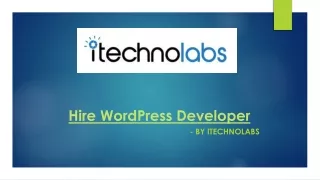hire wordpress developer