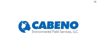 Avail for Geoprobe Service in Chicago at Cabeno Environmental Field Services LLC
