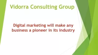 vidorra consulting group