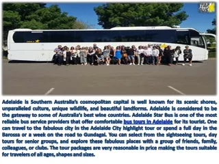 Enjoy Winery Tours in Adelaide at Reasonable Price with Adelaide Star Bus