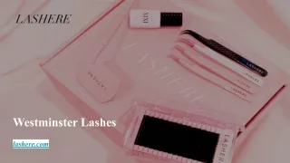 westminster lashes