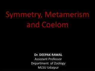 symmetry, coelom and metamerism