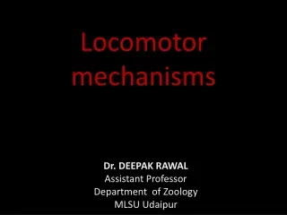 Locomotion in protozoa