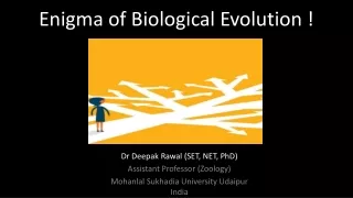 Uncertainty of evolution