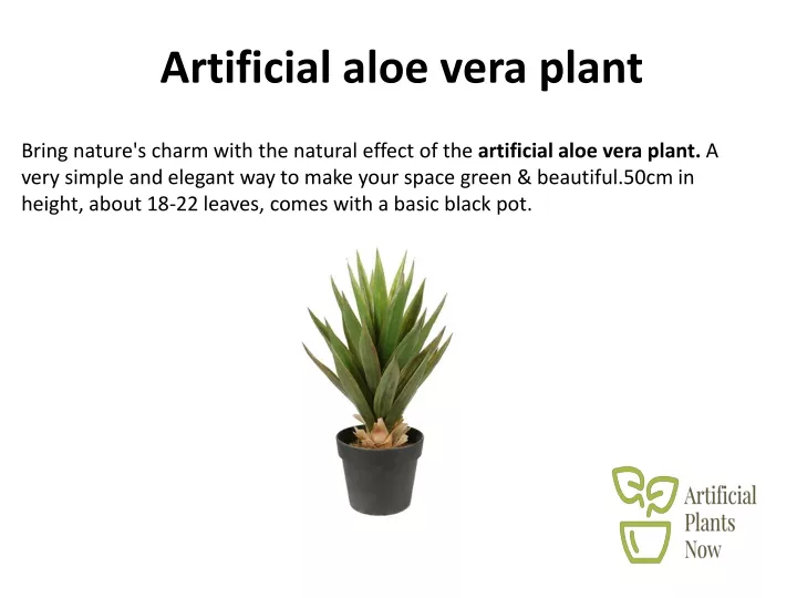 artificial aloe vera plant