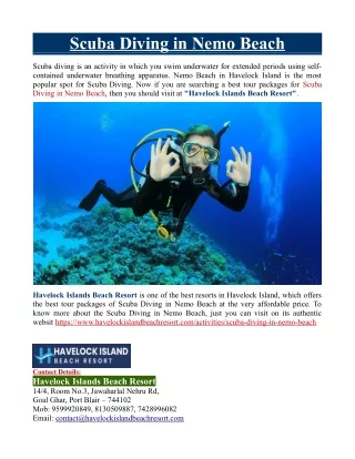 scuba diving in nemo beach