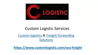 custom logistic services