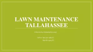 Are You Looking For Lawn Maintenance in Tallahassee? Contact The Lawn Johns