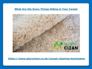 what are the scary things hiding in your carpet