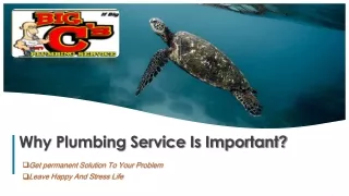 why plumbing service is important