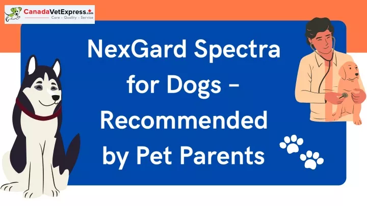 nexgard spectra for dogs recommended