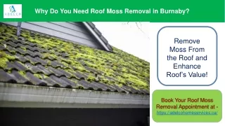 why do you need roof moss removal in burnaby