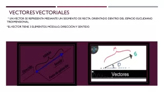 Vectores vectoriales