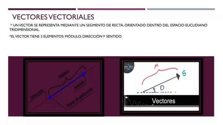 vectores vectoriales