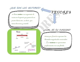 infografia vectores.