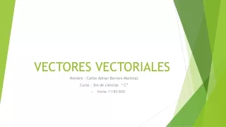 vectores vectoriales