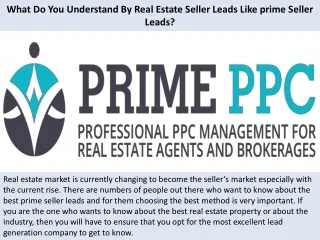 what do you understand by real estate seller leads like prime seller leads