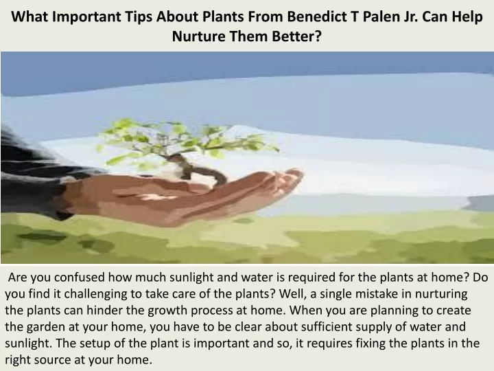 what important tips about plants from benedict t palen jr can help nurture them better