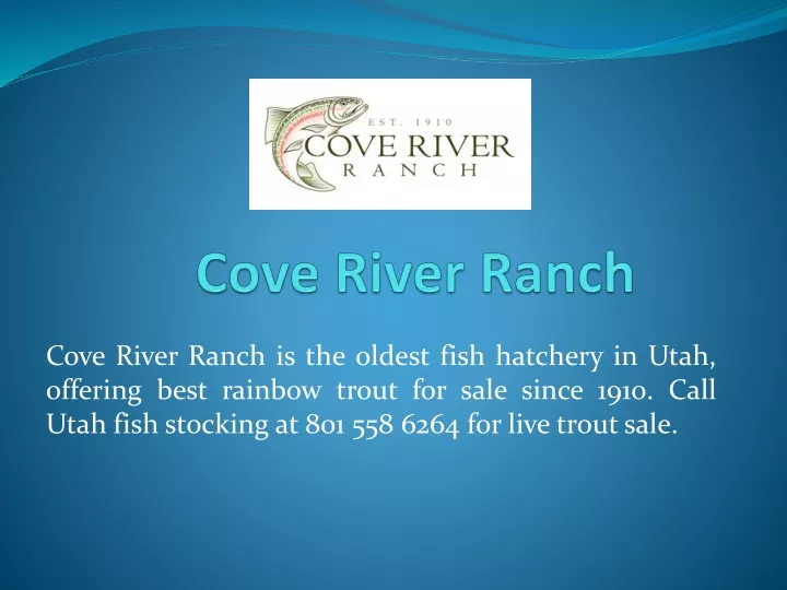 cove river ranch