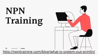 What exactly is System.out.println? NPN Training 