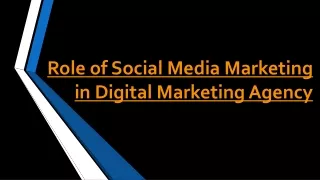 Role of Social Media Marketing in Digital Marketing Agency
