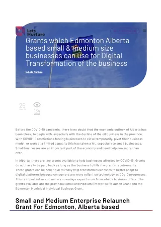 https://www.letsnurture.ca/blog/grants-which-edmonton-alberta-based-small-medium-size-businesses-can-use-for-digital-tra