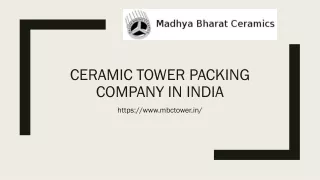 Ceramic tower packing Company in India