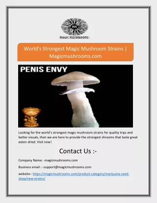 world s strongest magic mushroom strains