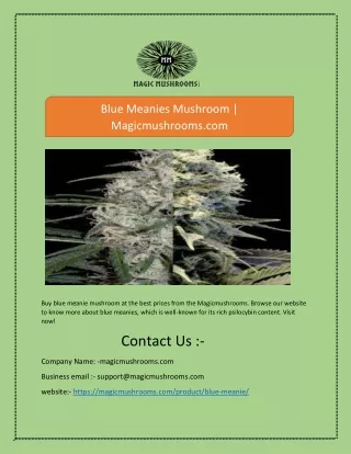 blue meanies mushroom magicmushrooms com