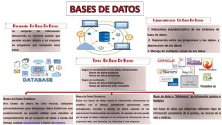 Base de  datos