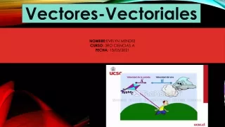 vectores vectoriales