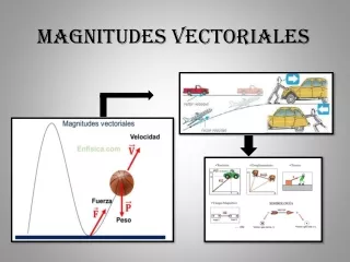 magnitudes vectoriales