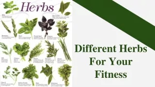 Different Herbs For Your Fitness