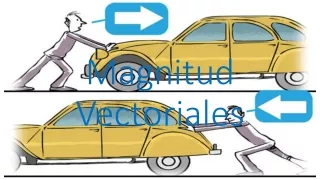 magnitud vectoriales