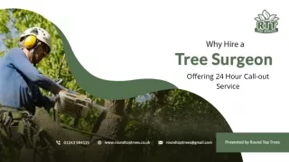 Why Hire a Tree Surgeon Offering 24 Hour Call-out Service