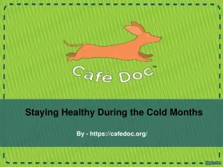 Staying Healthy During the Cold Months