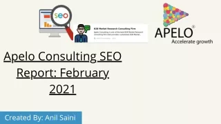 apelo consulting seo report february 2021