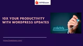 10x your productivity with wordpress updates