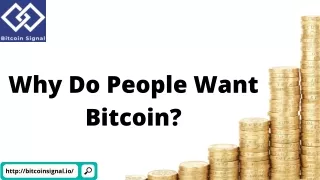 Why Do People Want Bitcoin