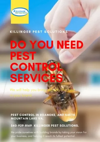 Pest Control Services