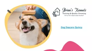 Best Dog Daycare In Quincy- Brian's Kennels