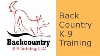 Backcountry K-9 Training