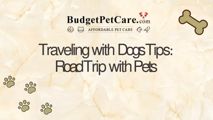 traveling with dogs tips road trip with pets