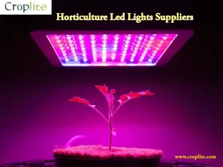 Horticulture led lights suppliers