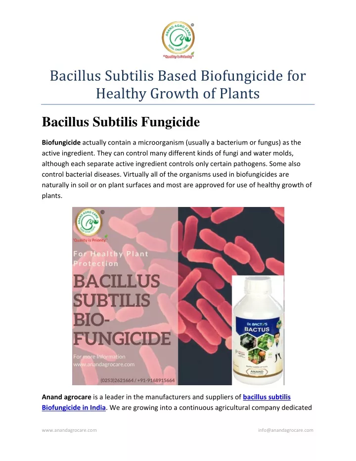 bacillus subtilis based biofungicide for healthy