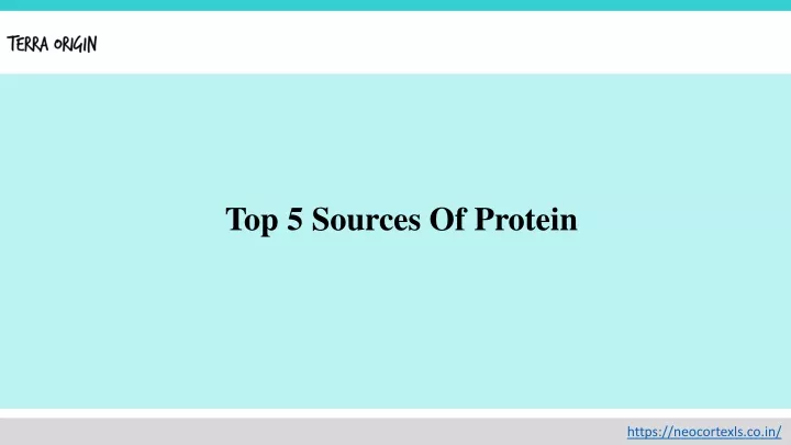 top 5 sources of protein