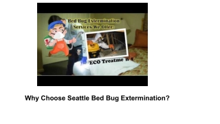 Bed Bug Removal Seattle WA |  206-531-7404