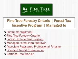 Forest Tax Incentive Program